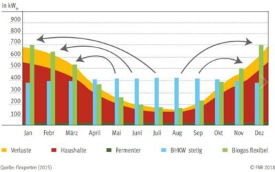 Mit Fütterungsteuerung zur hochflexiblen Stromerzeugung!